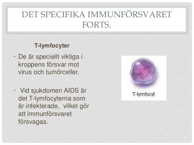 kroppens yttre försvar